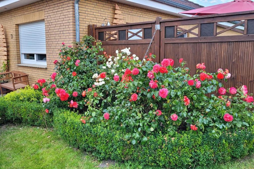 Fh Ostfriesland To Huus, Zw. Emden Und Greetsiel Villa Hinte Kültér fotó